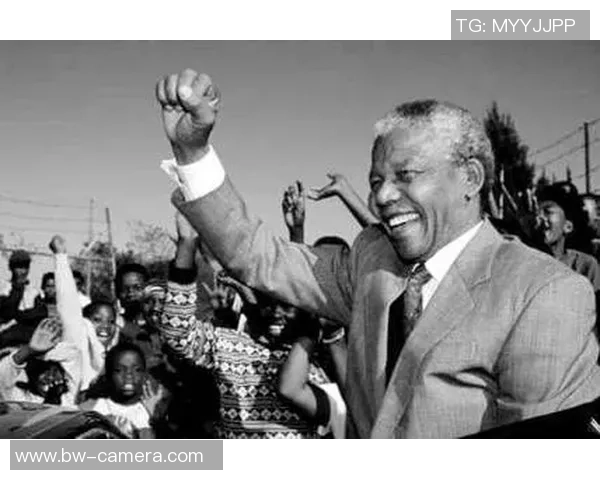 四号足球黑金球星是谁?揭示这位传奇球员背后的光辉与成就 四号足球黑金球星是谁?揭示这位传奇球员背后的光辉与成就