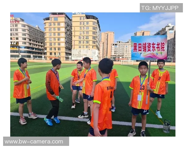 绿茵场上群星闪耀描绘足球少年并肩追梦的热血同人故事 绿茵场上群星闪耀描绘足球少年并肩追梦的热血同人故事